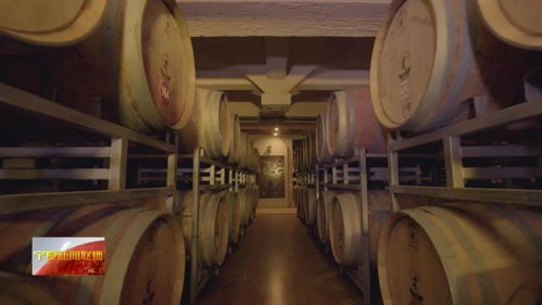 讲好宁夏葡萄酒故事 提升贺兰山东麓葡萄酒的知名度和美誉度